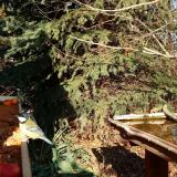 photo 2021-11-12 13-20-33