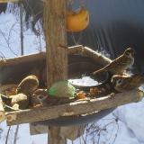 photo 2019-01-27 09-54-32