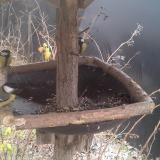 photo 2019-12-29 13-00-08