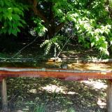 photo 2021-05-21 10-23-16