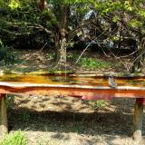 photo 2021-04-21 12-45-28