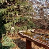 photo 2021-11-14 13-08-27