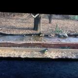 photo 2021-12-08 12-54-14