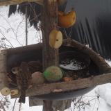 photo 2019-01-27 11-52-13