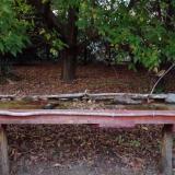 photo 2021-10-04 18-26-31