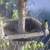 photo 2019-12-14 14-40-38