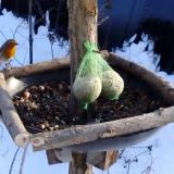 photo 2019-01-09 14-29-51