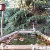 photo 2023-10-05 17-04-56