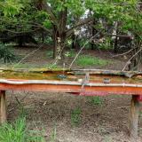 photo 2021-04-28 13-57-48