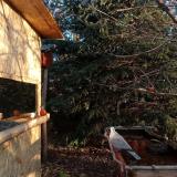 photo 2022-01-01 08-25-57