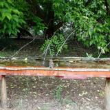 photo 2021-05-25 11-32-27