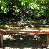 photo 2021-05-10 10-05-10