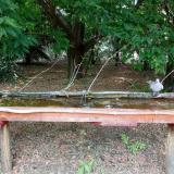 photo 2021-07-05 14-13-08