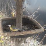 photo 2019-12-31 09-43-24