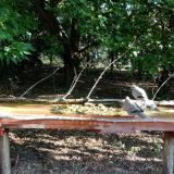 photo 2021-09-06 08-11-03