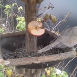 photo 2019-12-05 13-00-15