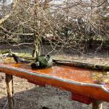 photo 2021-03-26 08-18-35