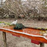 photo 2021-03-24 11-44-25