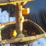 photo 2019-01-29 15-42-05