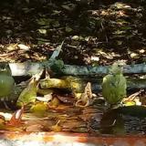 photo 2021-10-02 11-48-17 zold