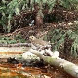 photo 2023-10-20 11-28-45 enekesr