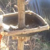 photo 2019-02-27 11-03-21