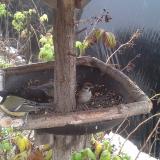 photo 2019-12-02 12-28-57