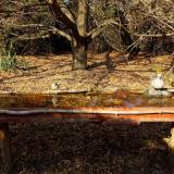 photo 2021-10-27 14-10-30