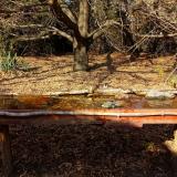 photo 2021-10-27 14-08-56