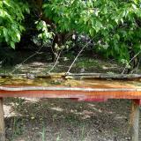 photo 2021-05-12 09-30-08