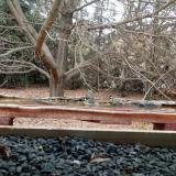 photo 2021-11-01 15-08-07