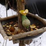 photo 2019-01-13 12-41-20