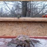 photo 2022-01-20 07-38-43