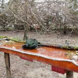 photo 2021-03-24 08-43-18