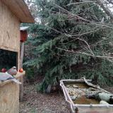 photo 2021-12-19 13-16-30