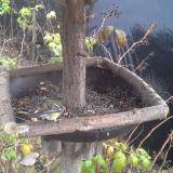 photo 2019-12-09 11-37-01