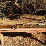 photo 2021-10-25 10-09-23