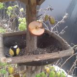 photo 2019-12-04 12-54-29