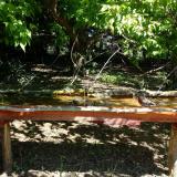 photo 2021-05-10 10-26-48