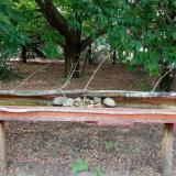 photo 2021-07-13 17-49-26