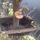 photo 2019-12-05 13-29-47