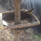 photo 2019-03-01 10-20-46