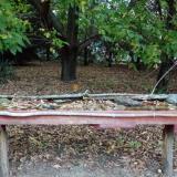 photo 2021-10-06 06-50-11