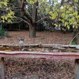 photo 2021-10-19 16-52-10