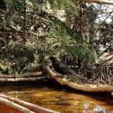 photo 2022-03-28 11-29-10-seregely