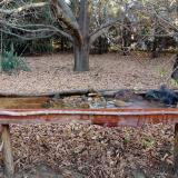 photo 2021-10-26 07-57-41