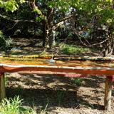 photo 2021-04-26 09-26-54