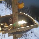 photo 2019-01-27 10-05-47