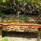 photo 2021-04-21 13-03-23