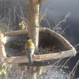 photo 2019-12-29 14-17-51